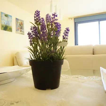 Apartment Atico Vilafortuny *